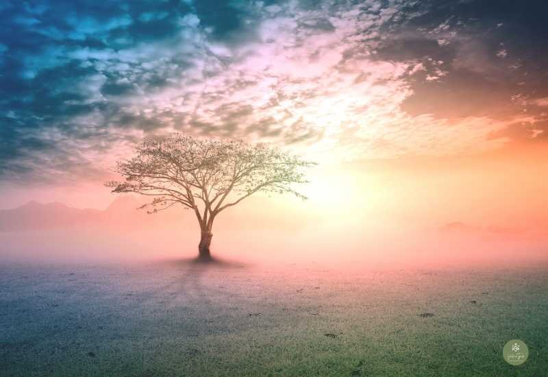 La Importancia de los Límites